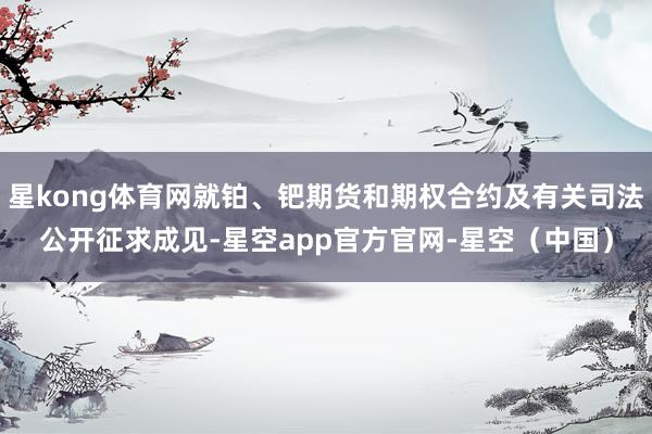 星kong体育网就铂、钯期货和期权合约及有关司法公开征求成见-星空app官方官网-星空（中国）