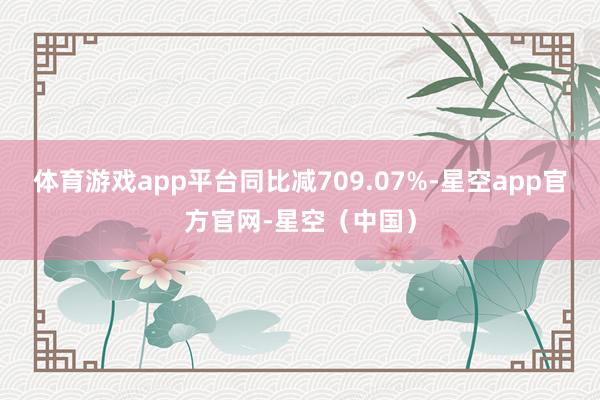 体育游戏app平台同比减709.07%-星空app官方官网-星空（中国）