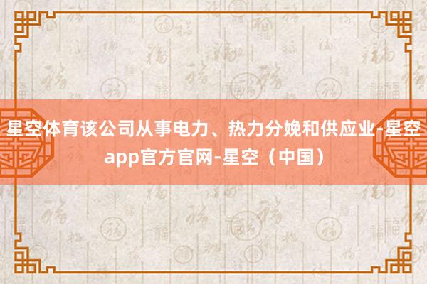星空体育该公司从事电力、热力分娩和供应业-星空app官方官网-星空（中国）