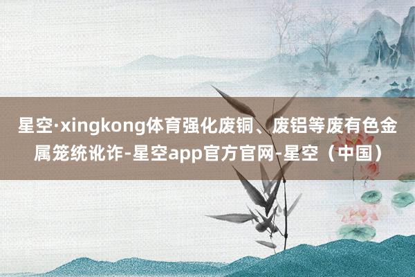 星空·xingkong体育强化废铜、废铝等废有色金属笼统讹诈-星空app官方官网-星空（中国）