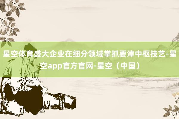 星空体育盛大企业在细分领域掌抓要津中枢技艺-星空app官方官网-星空（中国）